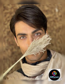 لنز رنگی گارنت برند آیس کالر (عسلی کهکشانی)