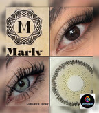 لنز لومیر گری برند مارلی (طوسی سبز دوردار) lumier gray marly