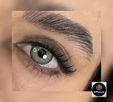 لنز لومیر گری برند مارلی (طوسی سبز دوردار) lumier gray marly