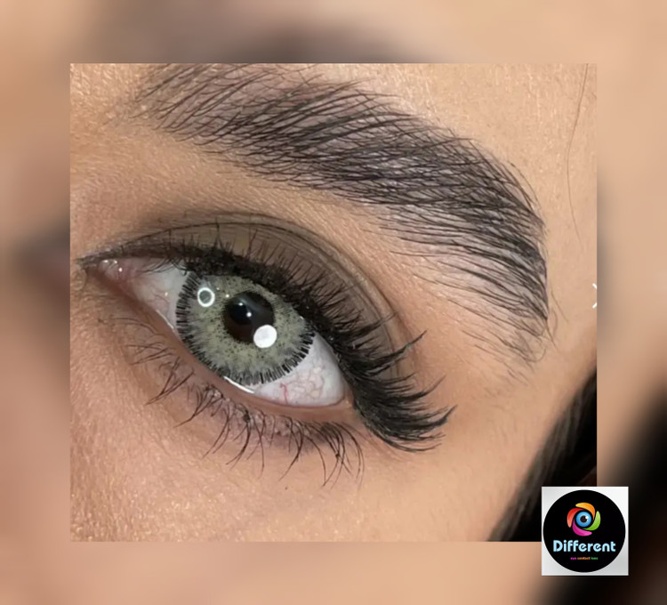 لنز لومیر گری برند مارلی (طوسی سبز دوردار) lumier gray marly