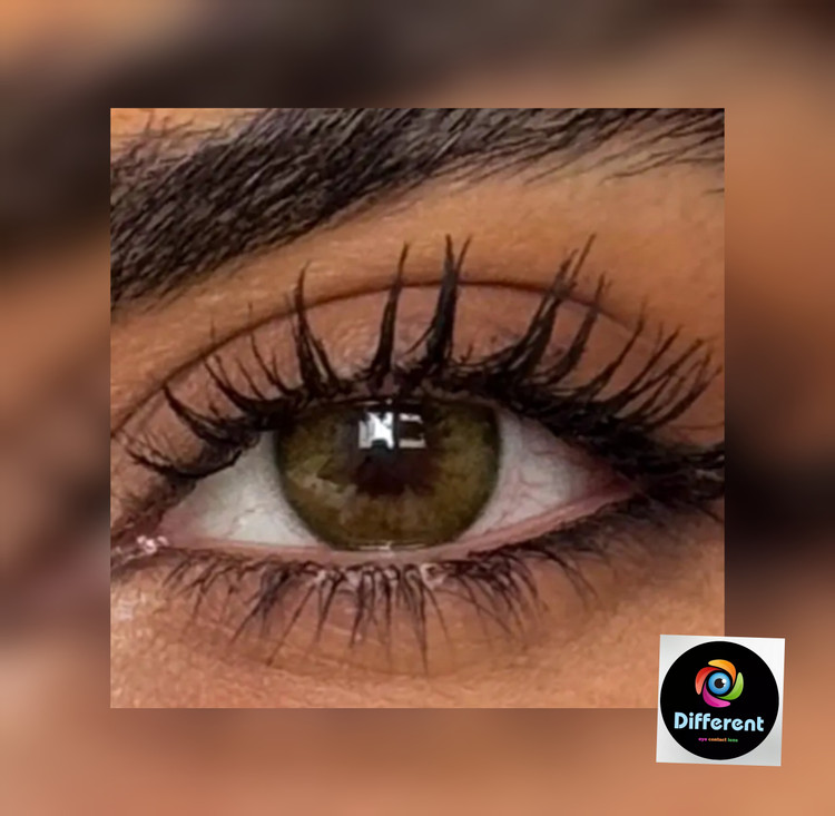 لنز رنگی آنجل گرین مارلی anjel green marly سبز تیره دور محو
