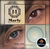 لنز رنگی رویال بلو مارلی royal blue marly سورمه ای طوسی
