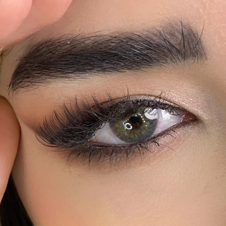 لنز کاتیا آپریکات طوسی سبز